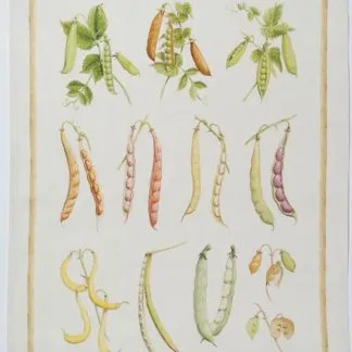 Dish Towel - Beans - Linen