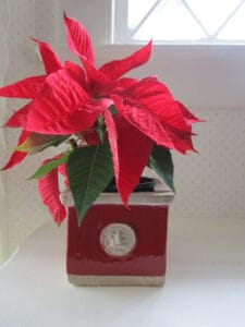 Kew Garden Pottery - Square Herb Pot