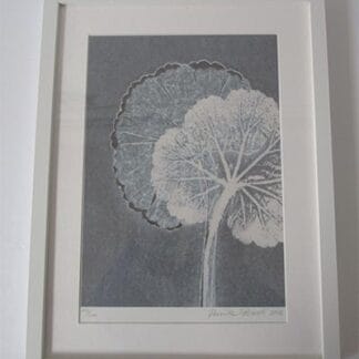 Pernille Folcarelli - Limited Edition Print - Framed - Geranium Pernille Folcarelli - Limited Edition Print - Framed - Geranium