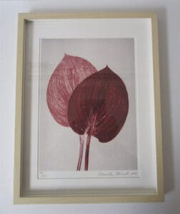 Pernille Folcarelli - Limited Edition Print - Framed - Hosta