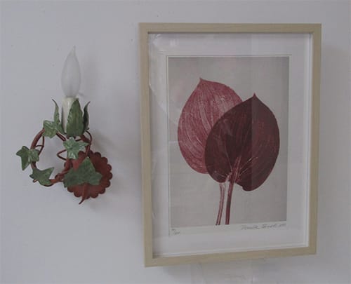 Thinking of adding a touch of Nature to your Home