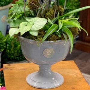 Kew Pottery - Somerset - French Grey
